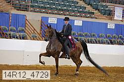 14r12_4729 thumbnail