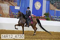 14r12_4730 thumbnail