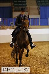 14r12_4732 thumbnail