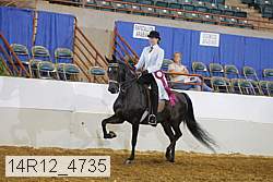 14r12_4735 thumbnail