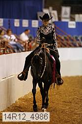 14r12_4986 thumbnail