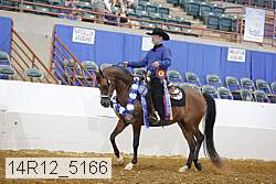 14r12_5166 thumbnail