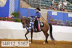 14r12_5167 thumbnail