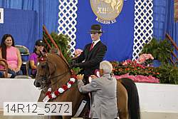 14r12_5272 thumbnail