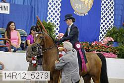 14r12_5279 thumbnail