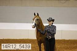 14r12_5439 thumbnail
