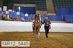 14r12_5445 thumbnail