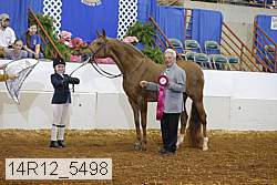 14r12_5498 thumbnail