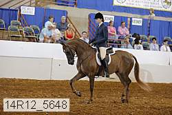 14r12_5648 thumbnail