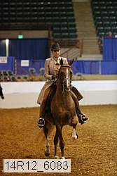14r12_6083 thumbnail
