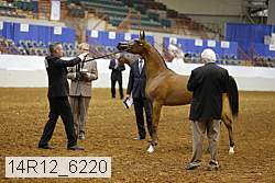 14r12_6220 thumbnail