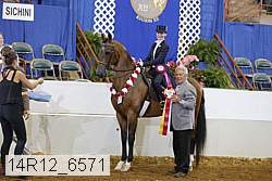 14r12_6571 thumbnail