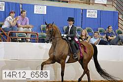 14r12_6583 thumbnail