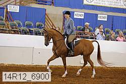 14r12_6900 thumbnail