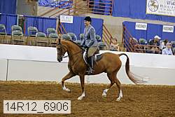 14r12_6906 thumbnail