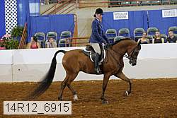14r12_6915 thumbnail