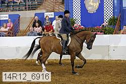 14r12_6916 thumbnail