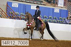 14r12_7008 thumbnail