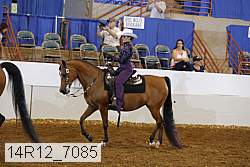 14r12_7085 thumbnail