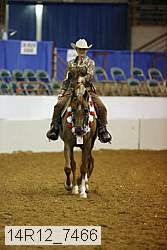 14r12_7466 thumbnail