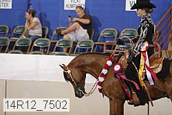 14r12_7502 thumbnail