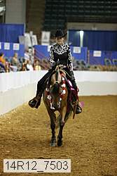 14r12_7503 thumbnail