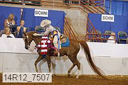 14r12_7507 thumbnail