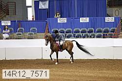 14r12_7571 thumbnail