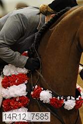 14r12_7585 thumbnail