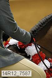 14r12_7587 thumbnail