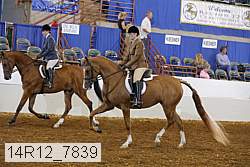 14r12_7839 thumbnail