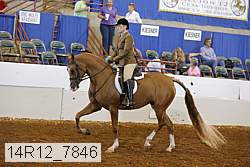 14r12_7846 thumbnail