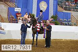 14r12_7931 thumbnail