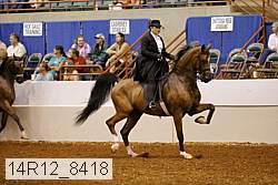 14r12_8418 thumbnail