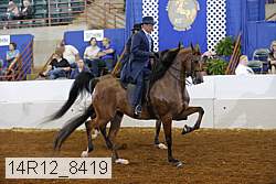14r12_8419 thumbnail