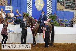 14r12_8425 thumbnail