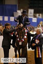 14r12_8426 thumbnail