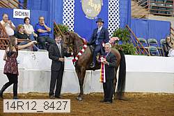 14r12_8427 thumbnail
