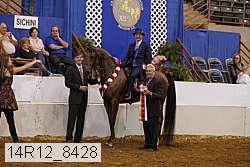 14r12_8428 thumbnail