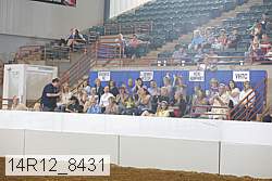 14r12_8431 thumbnail