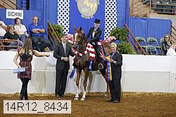 14r12_8434 thumbnail