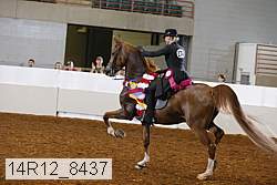 14r12_8437 thumbnail
