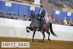 14r12_8440 thumbnail