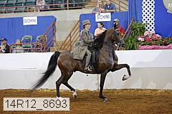 14r12_8693 thumbnail