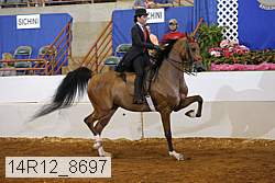 14r12_8697 thumbnail