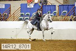 14r12_8701 thumbnail