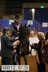 14r12_8729 thumbnail