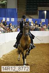 14r12_8772 thumbnail