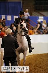 14r12_8794 thumbnail