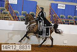 14r12_8831 thumbnail